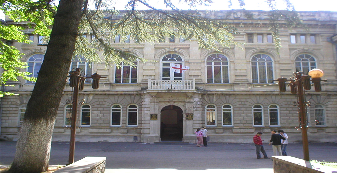 ivane javakhishvili tbilisi state university