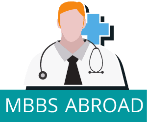 MBSS abroad